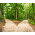 Are You Ready to Change? 5 Signs You’re Closer Than You Think